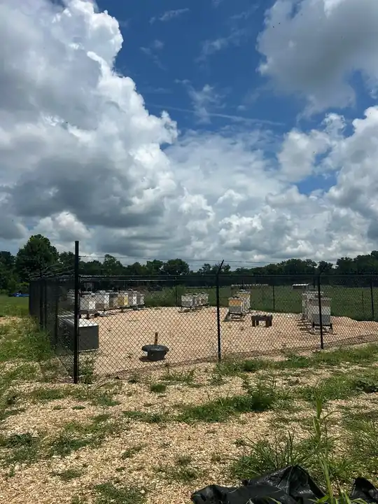 Black chain link with a barbed-wire top enclosing a bee yard in open pasture