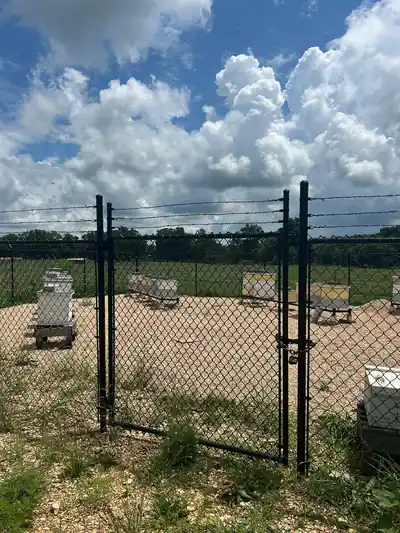 Walk gate in the black chain link bee-yard enclosure